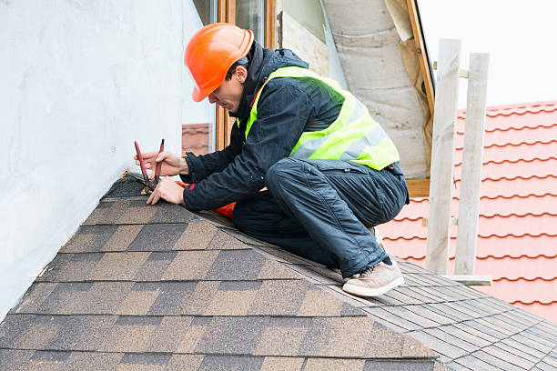 Roof Gutter Cleaning in Oskaloosa, IA